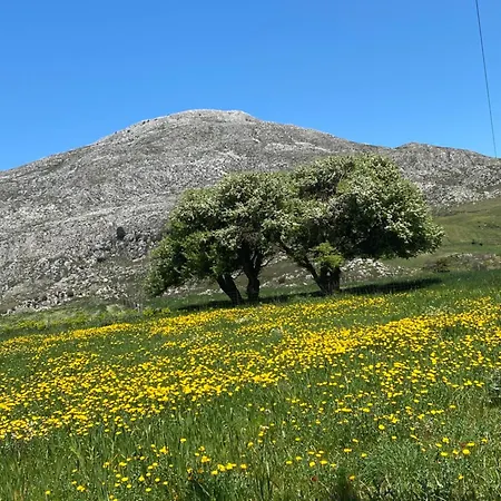 Costas 2* Spílion
